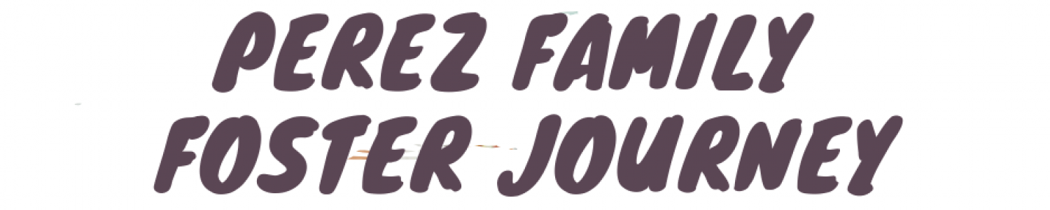 Perez Family Foster Journey